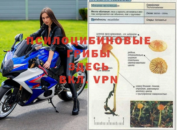 дмт Кодинск