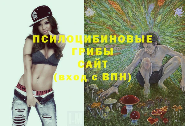 трава Киренск